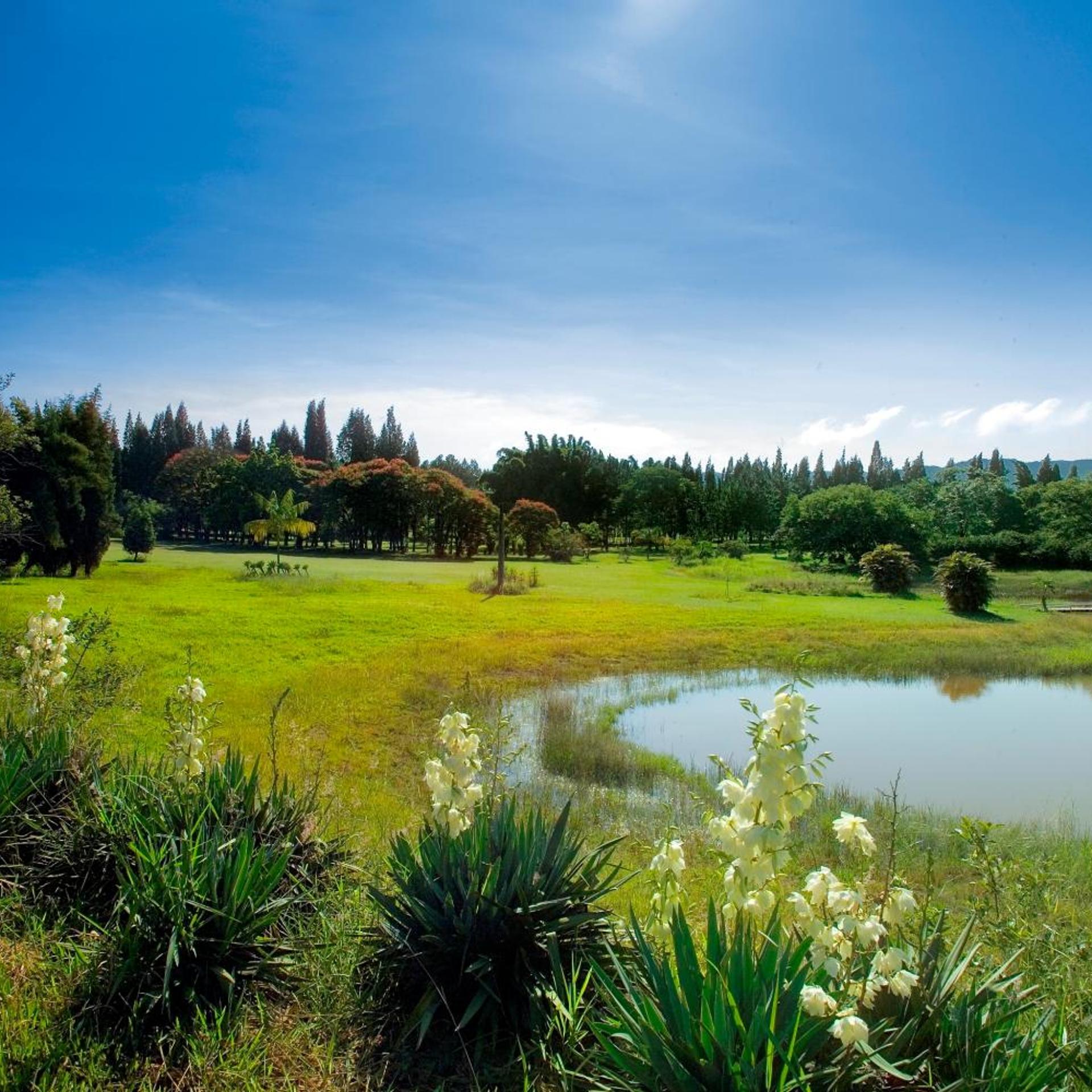 Garden Hill Hotel e Golfe 43/55