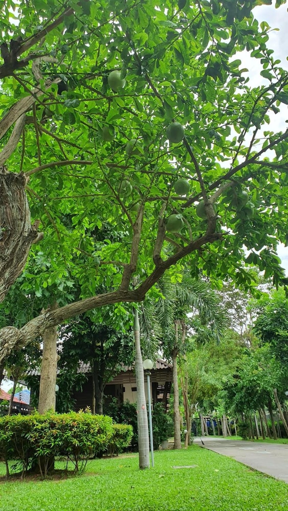Ruen Purksa Resort 25/43