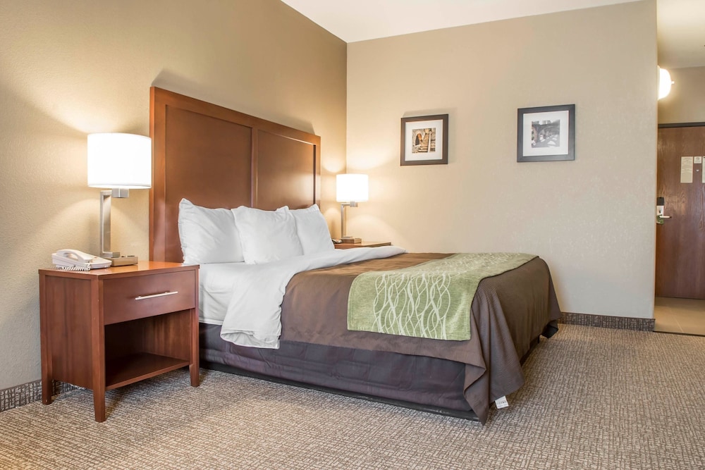 Comfort Inn Edinburg South Texas 14/46