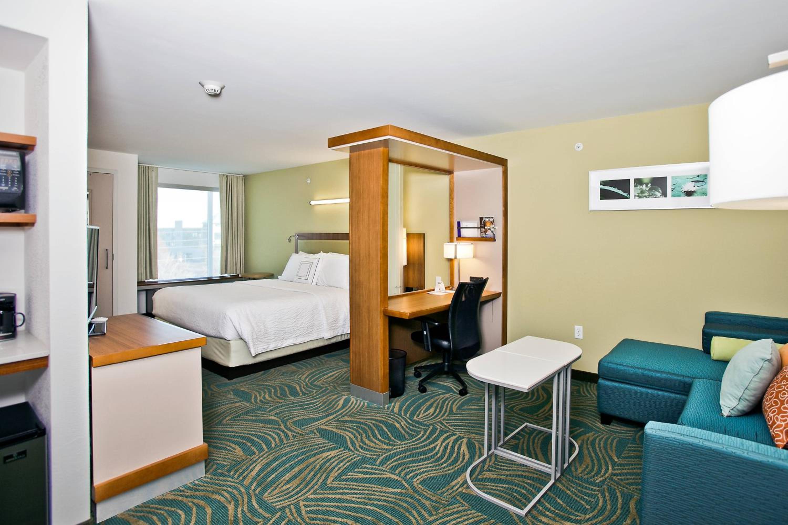 استوديو بسرير كينج، Springhill Suites Mobile 6/7