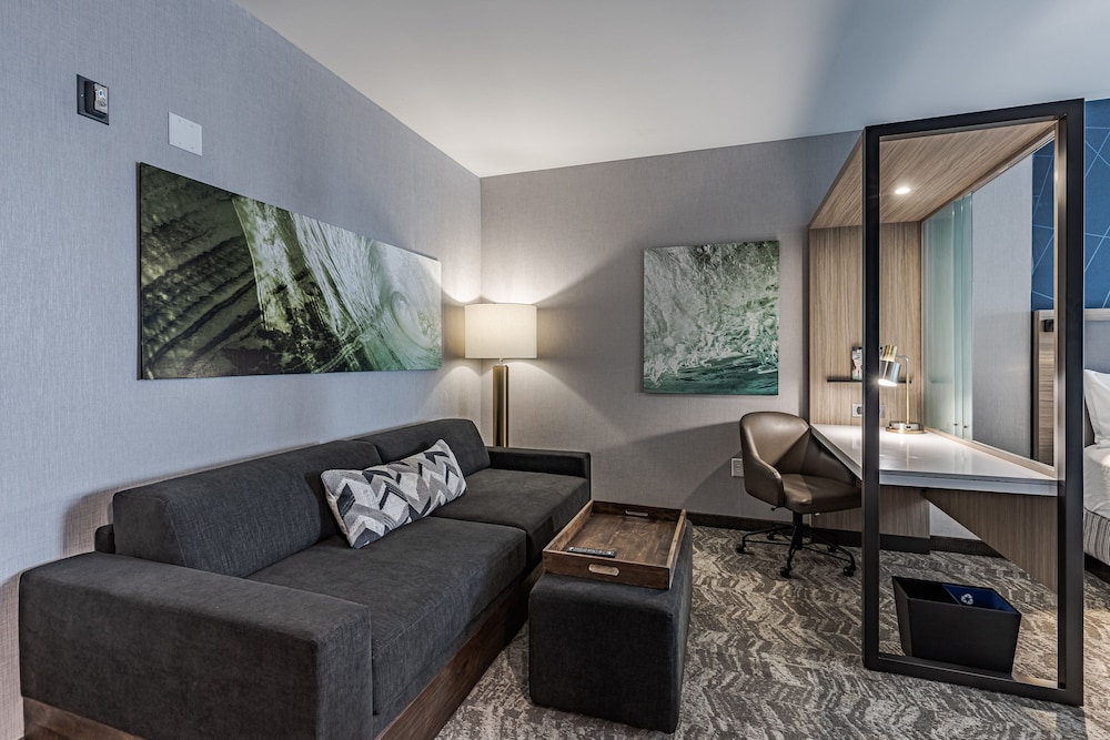 SpringHill Suites Detroit Sterling Heights 21/35