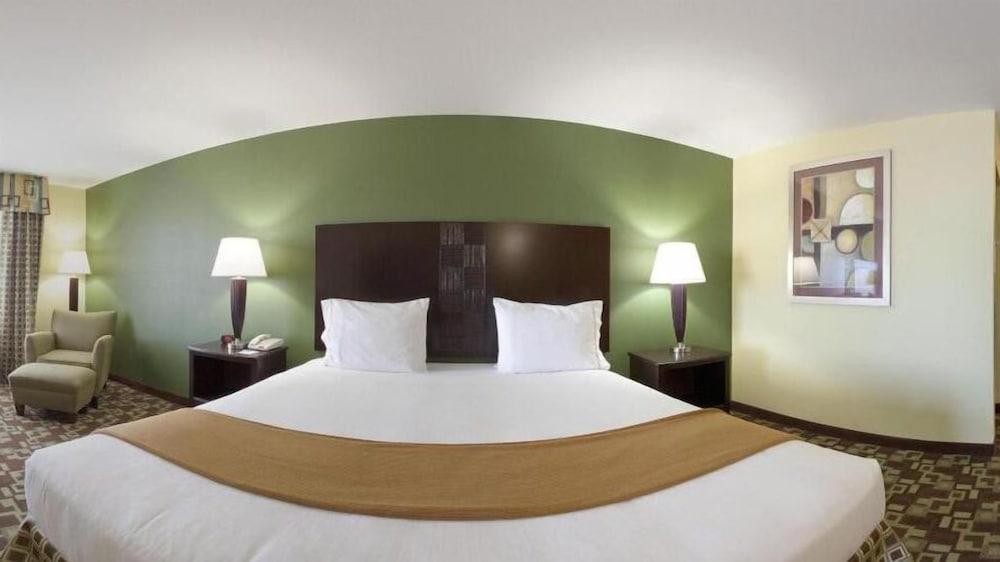 Holiday Inn Express Hotel Suites Dumas 37/72