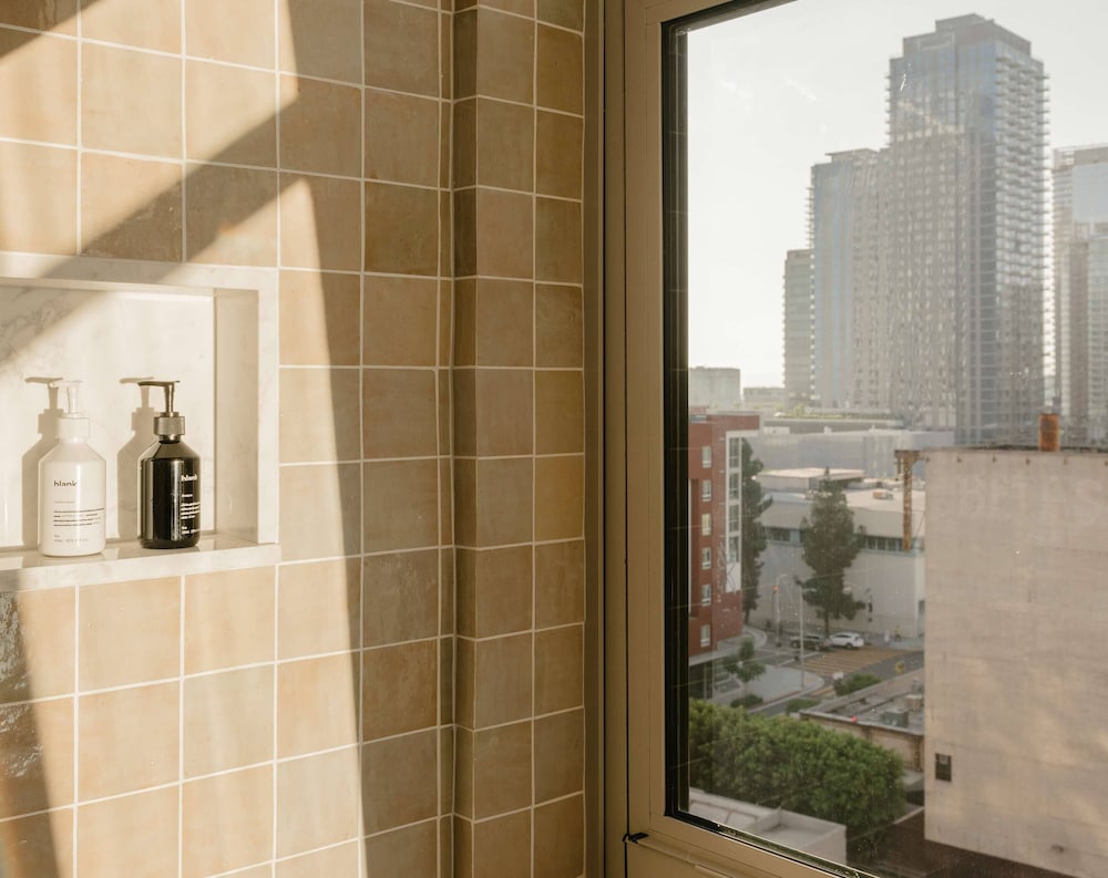 The Hoxton Downtown LA 44/46