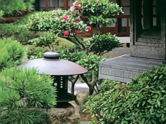 Japanese, Garden View