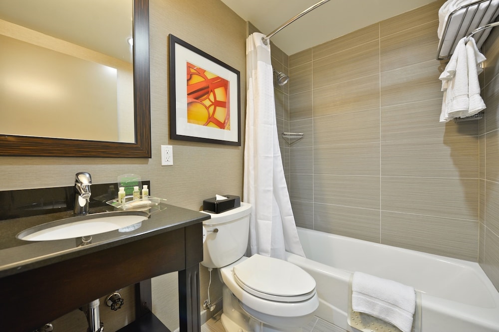 Holiday Inn Lower East Side 16/45