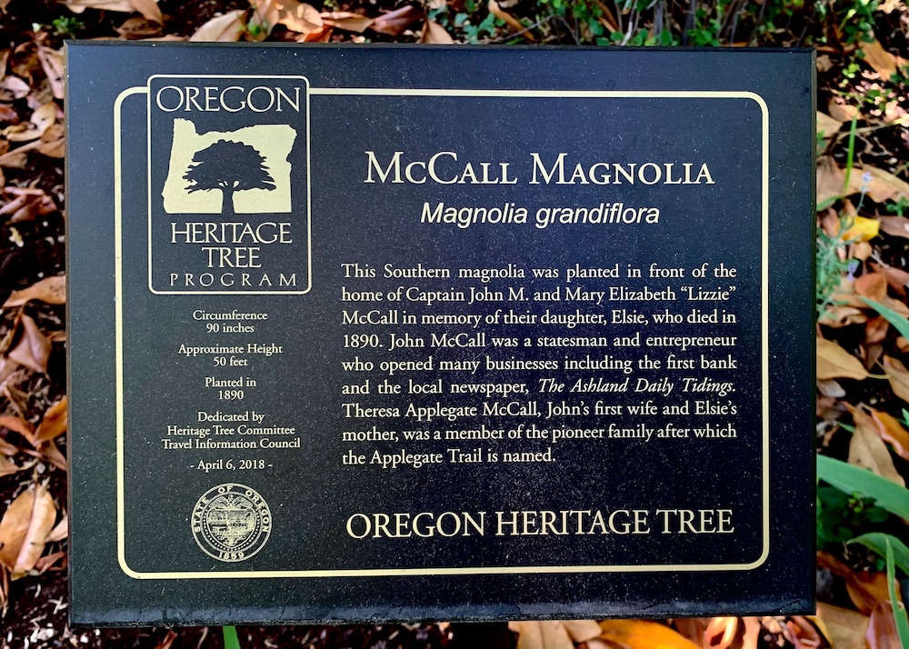 Mccall House Bed And Breakfast 28/50