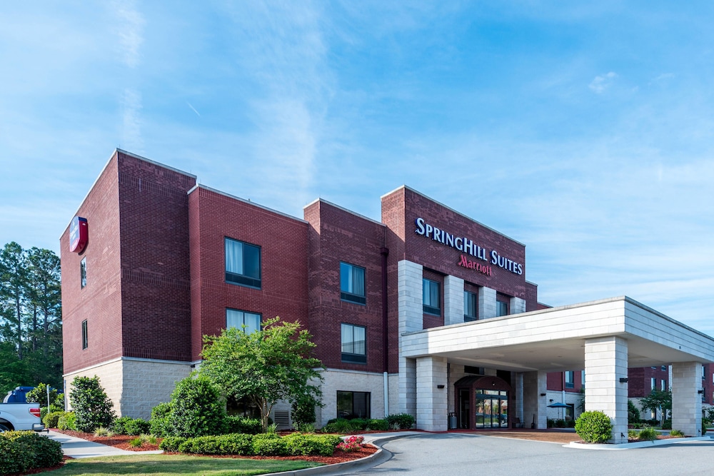 Springhill Suites Statesboro University Area 1/26