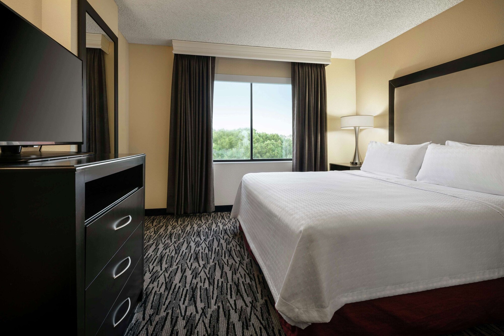 Suite, King Bed