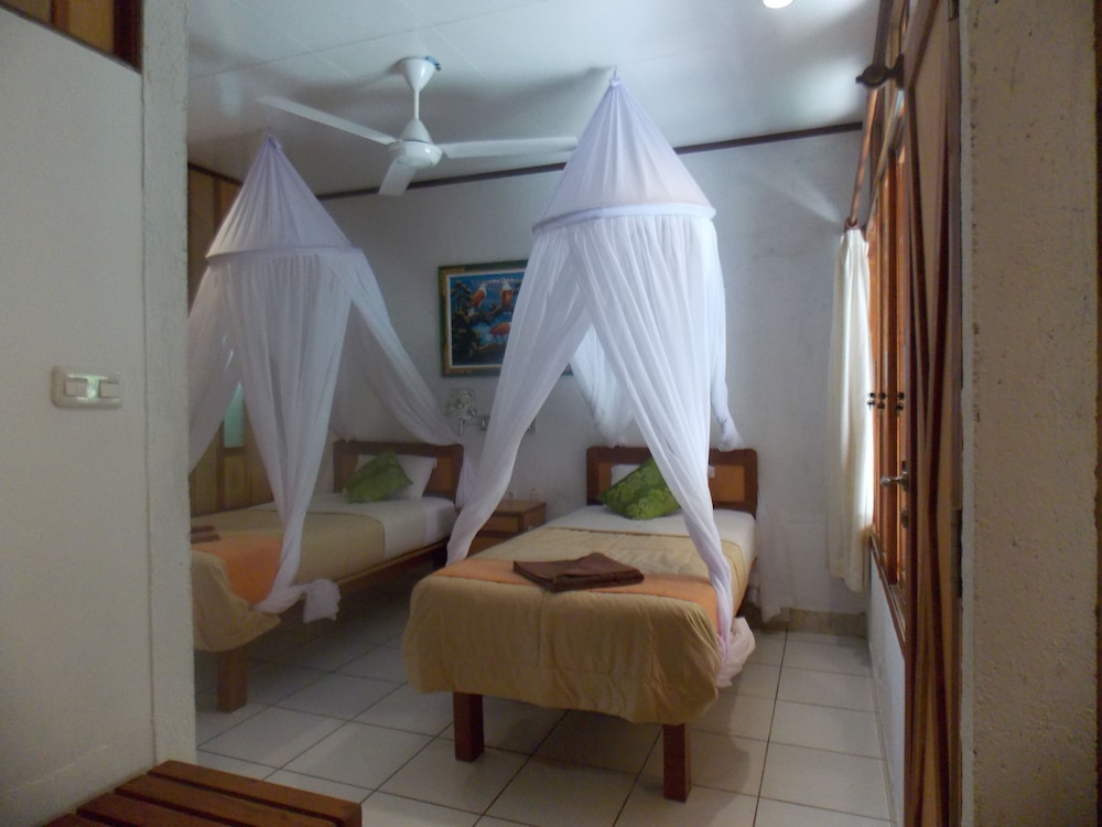 Komodo Lodge 28/47