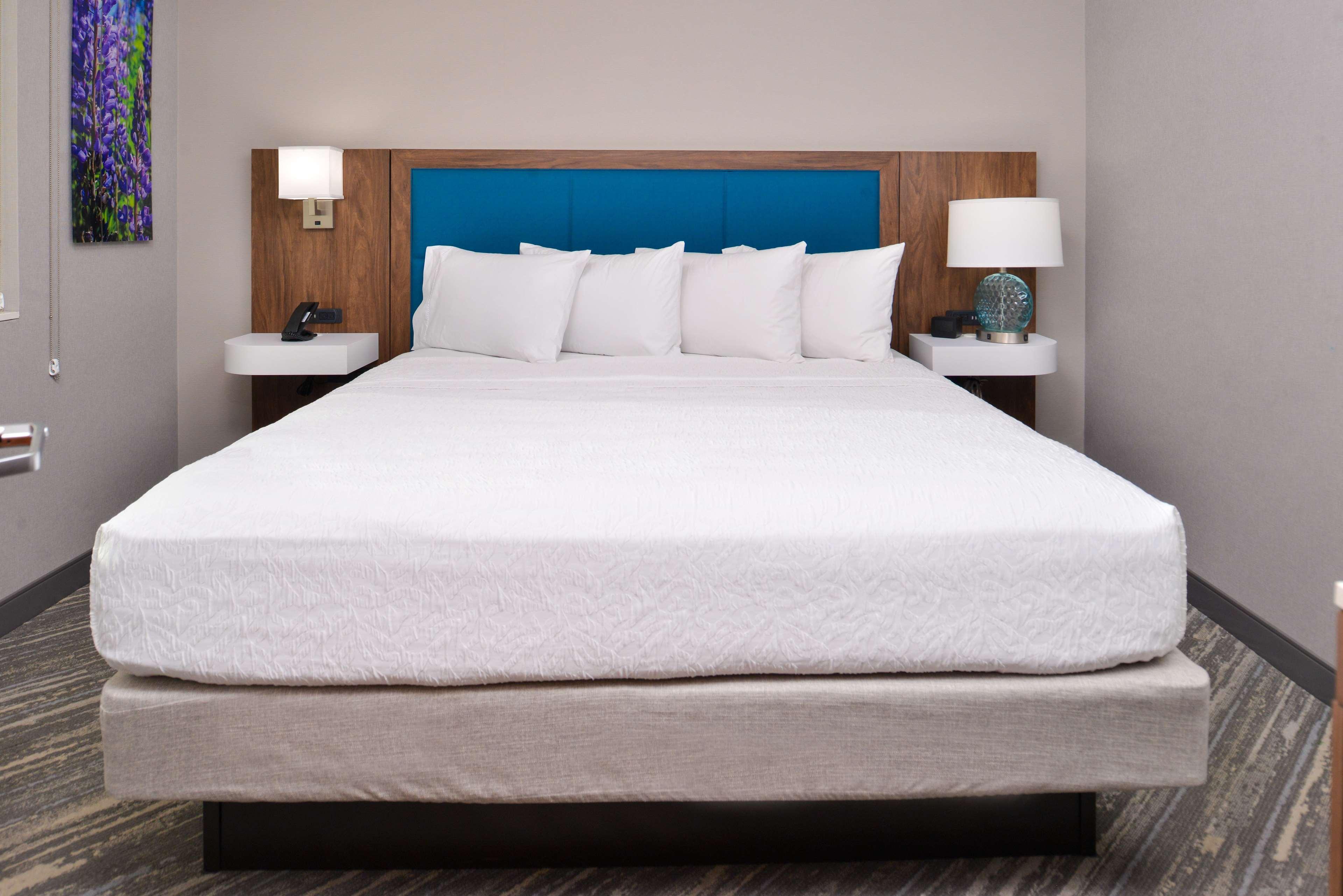 2 BEDROOMS, SUITE, 2 KING BEDS, SOFA, LIVING AREA