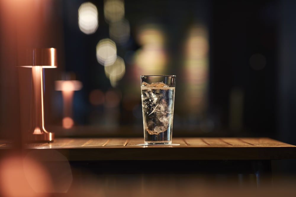 Hyatt Centric Ginza Tokyo 30/69