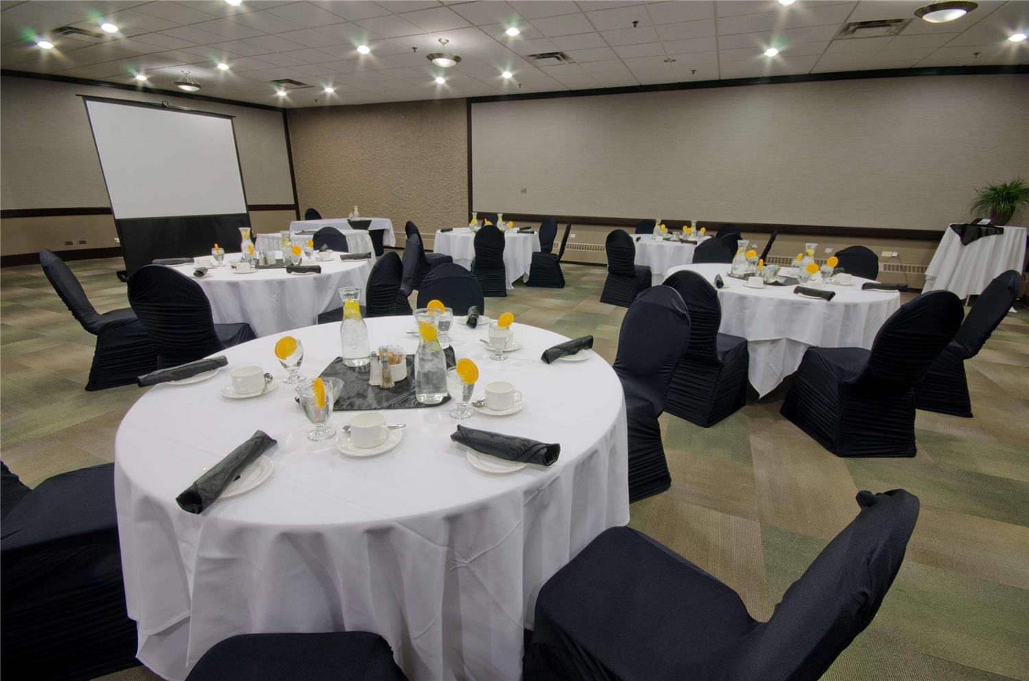 Radisson Hotel Winnipeg Downtown 20/26