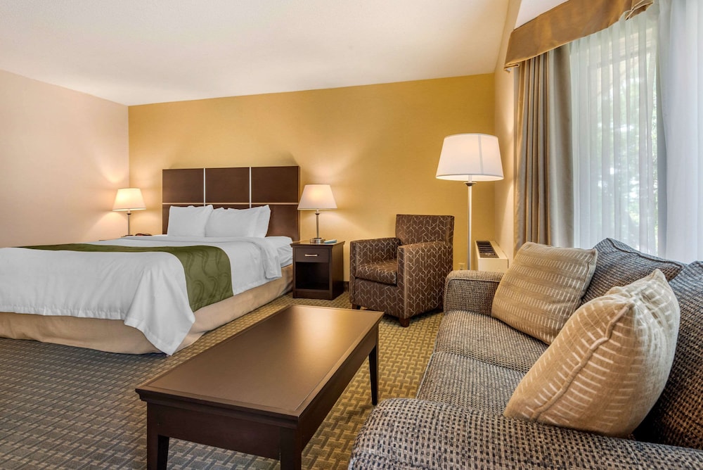 غرفة قياسية بسرير كينج مع أريكة، Quality Inn and Suites Brampton 9/10