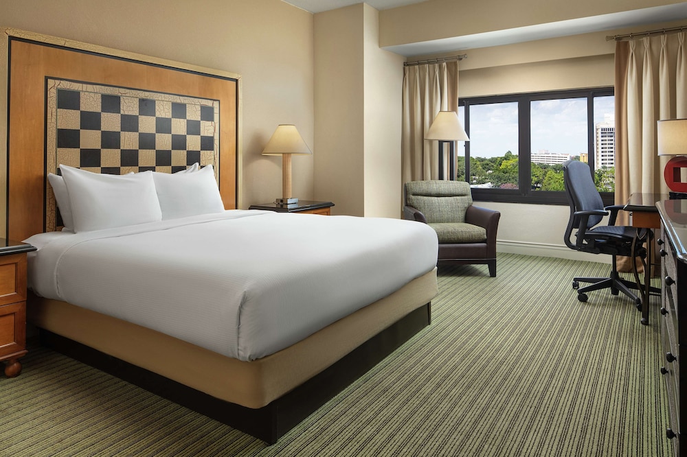 Hilton Orlando Lake Buena Vista - Disney Springs Area 17/62