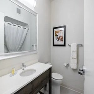 Amsterdam Inn & Suites, an Ascend Collection Hotel 48/52