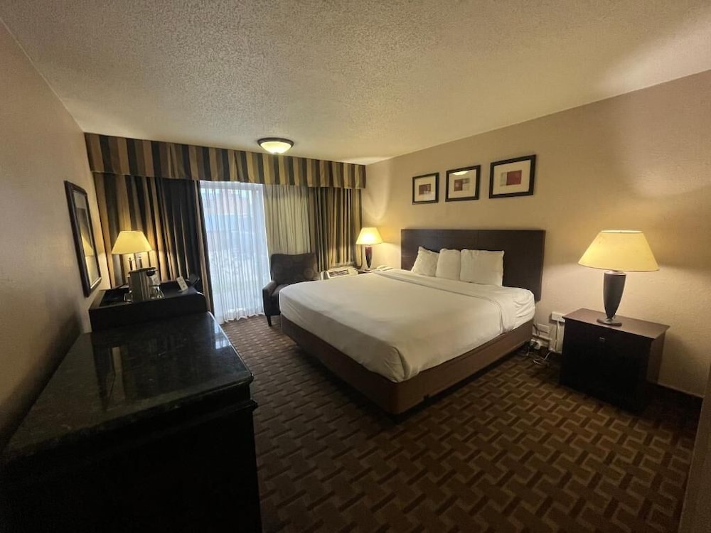 Studio, Suite, King Bed
