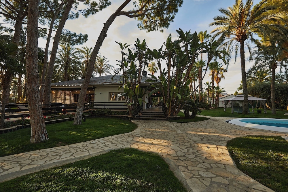 Resort Oasis 37/50