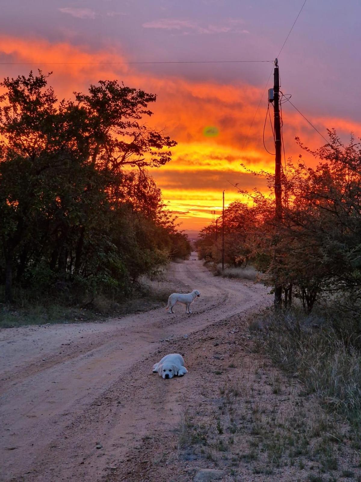 Masorini Bush Lodge 32/50