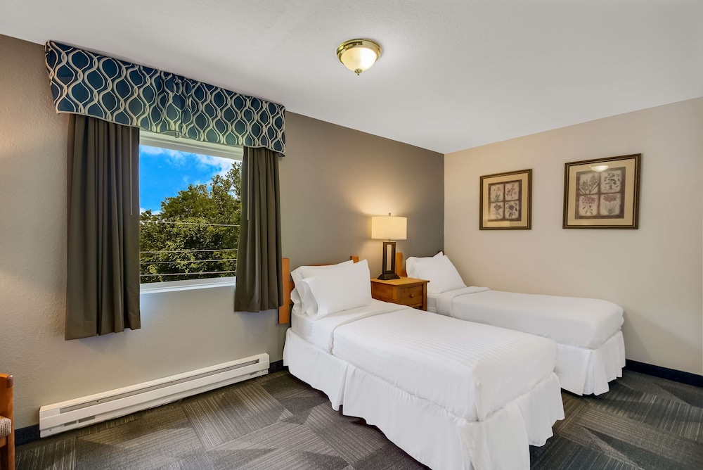 Suite, King and Twin Beds
