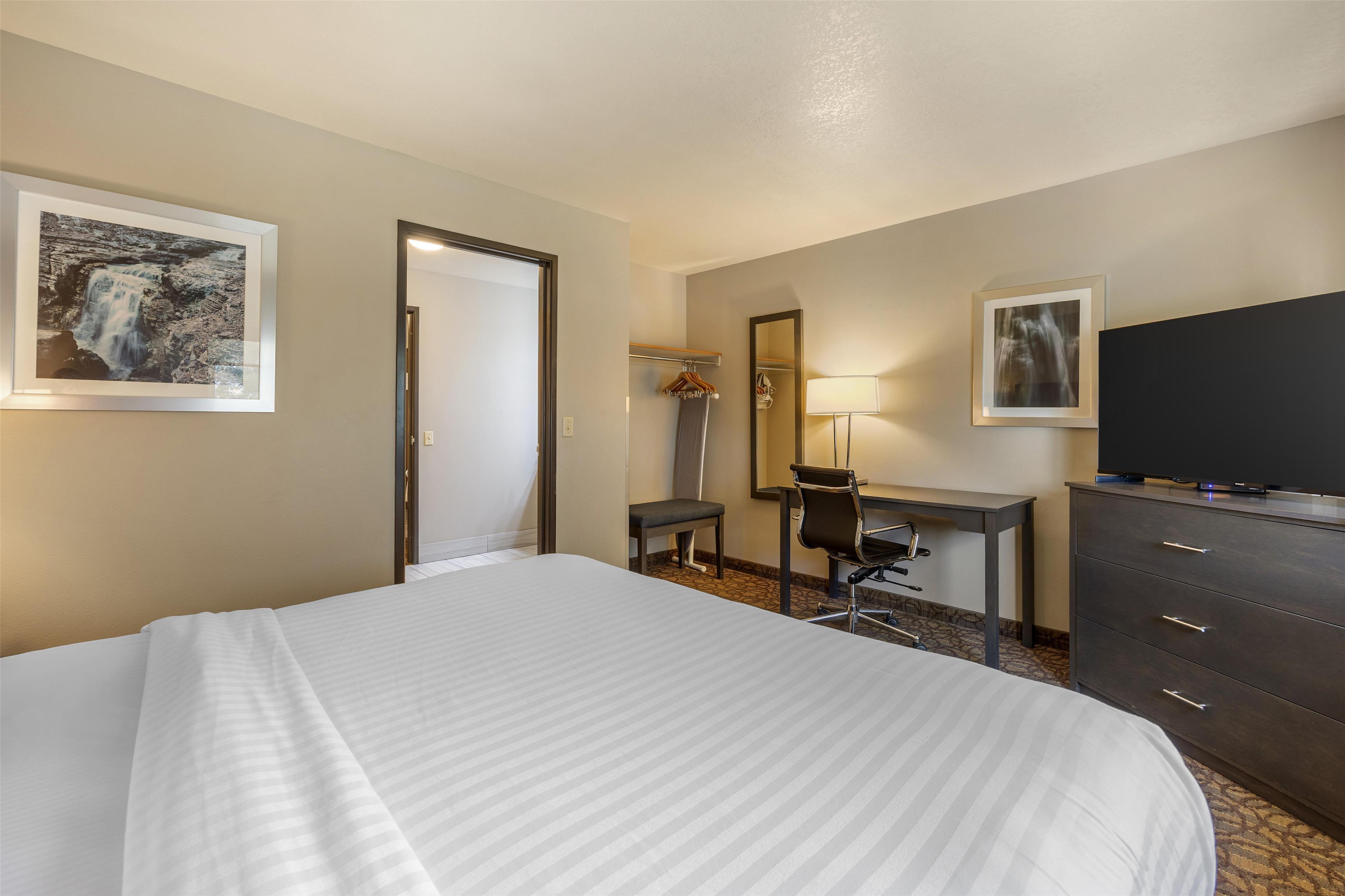 Suite, King Bed