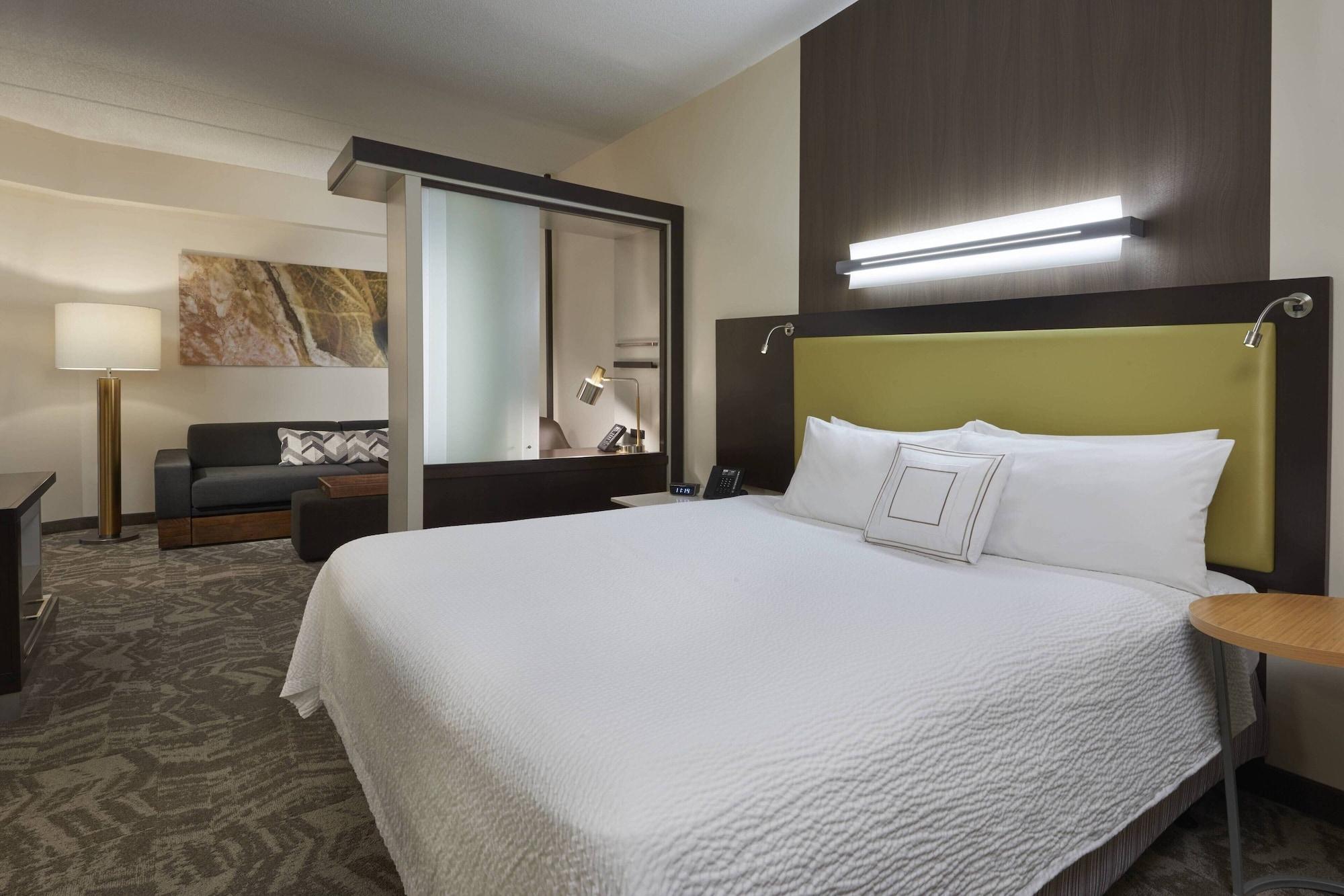 Suite, Multiple Beds, Accessible