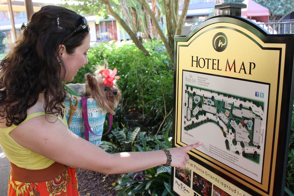Rosen Inn At Pointe Orlando 5/50