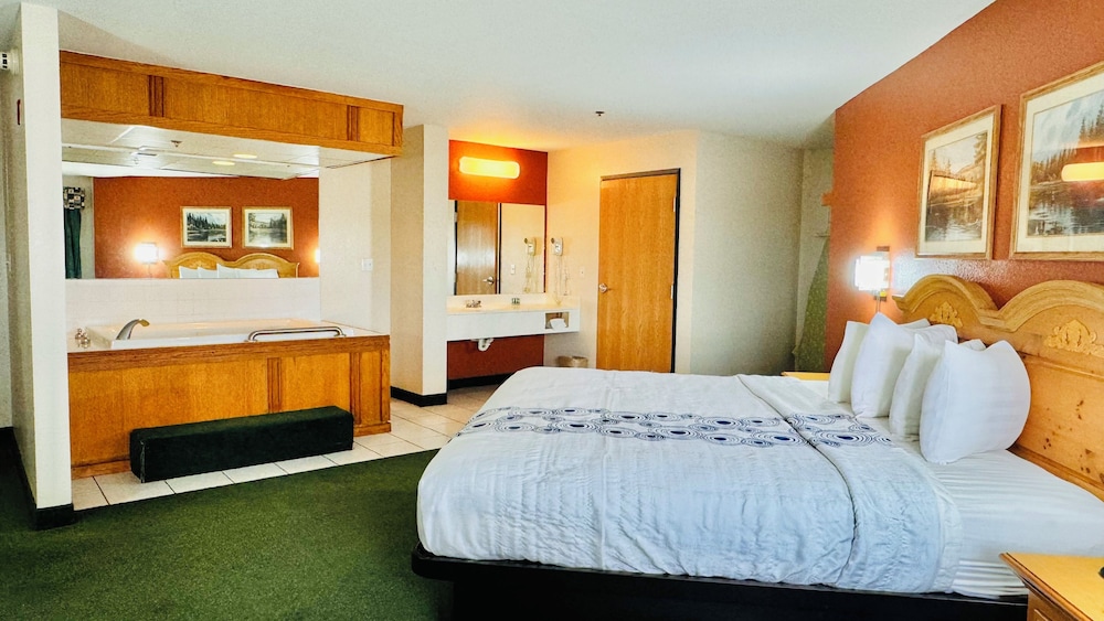 Regency Inn And Suites 12/51