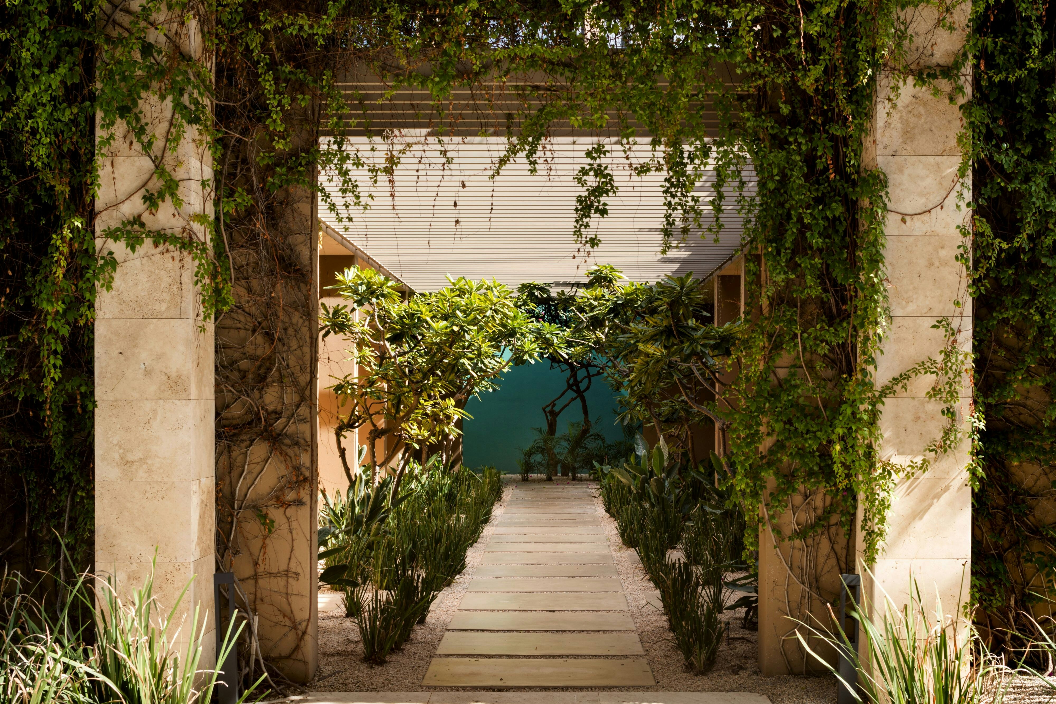 Casa Maat At Jw Marriott Los Cabos Beach Resort & Spa 45/50