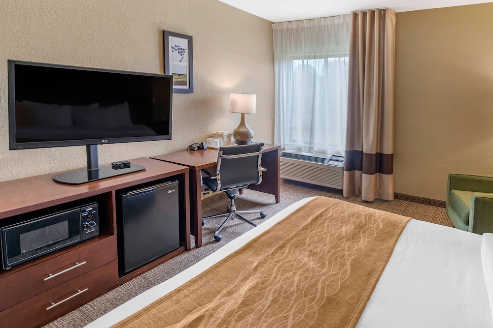 Comfort Inn and Suites Lincoln AL 49/61
