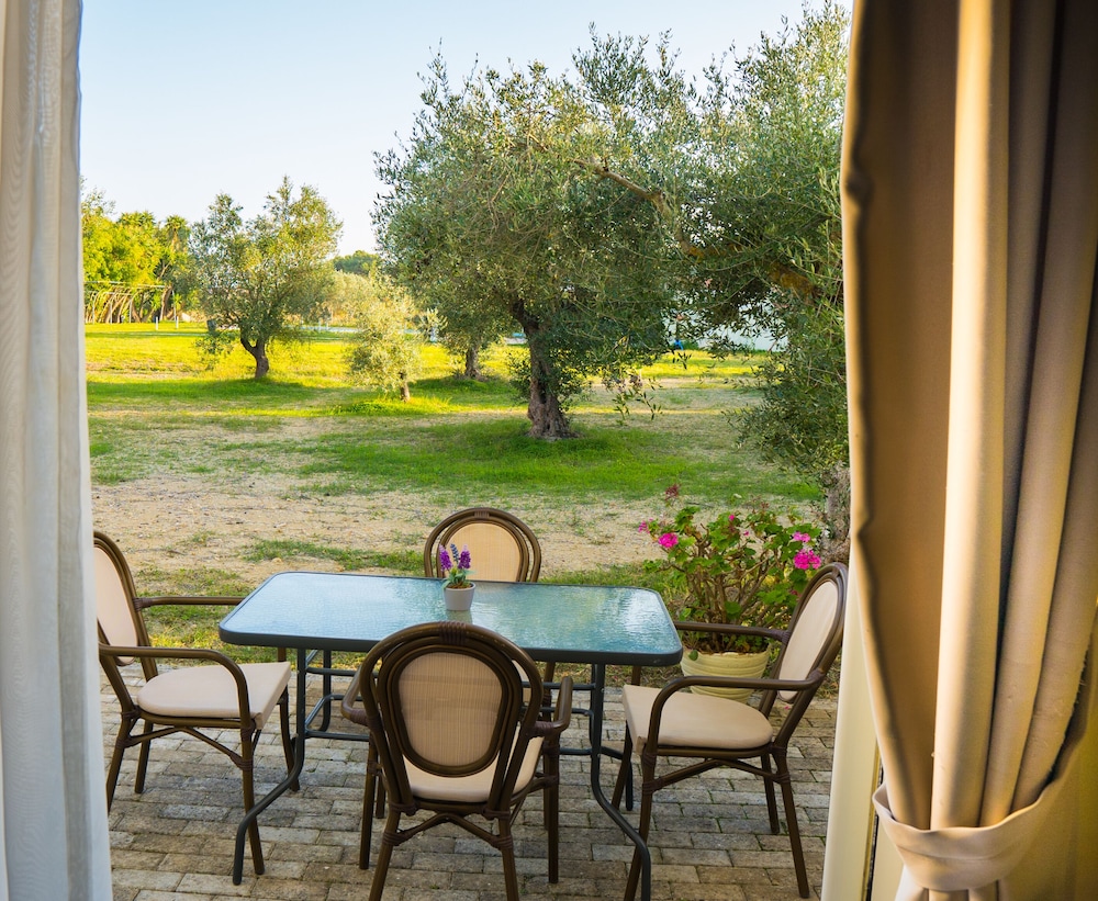 Olive Trees Garden 23/27