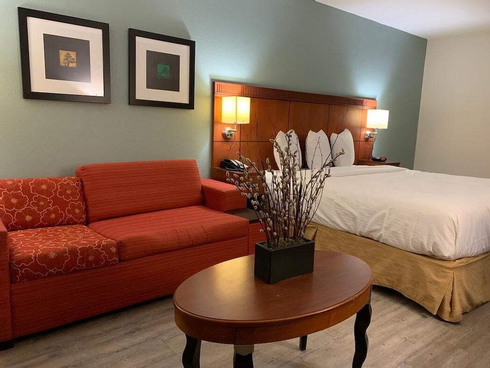 ECONO LODGE AND SUITES(Orange - TX) 34/53