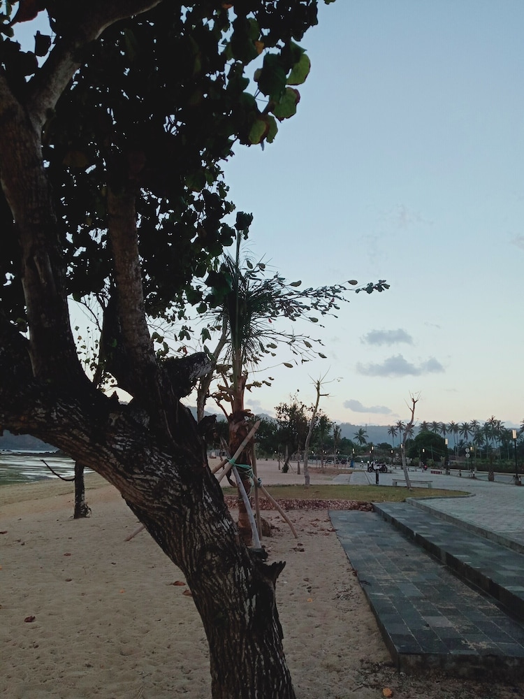 Melati Resort & Hotel 38/50