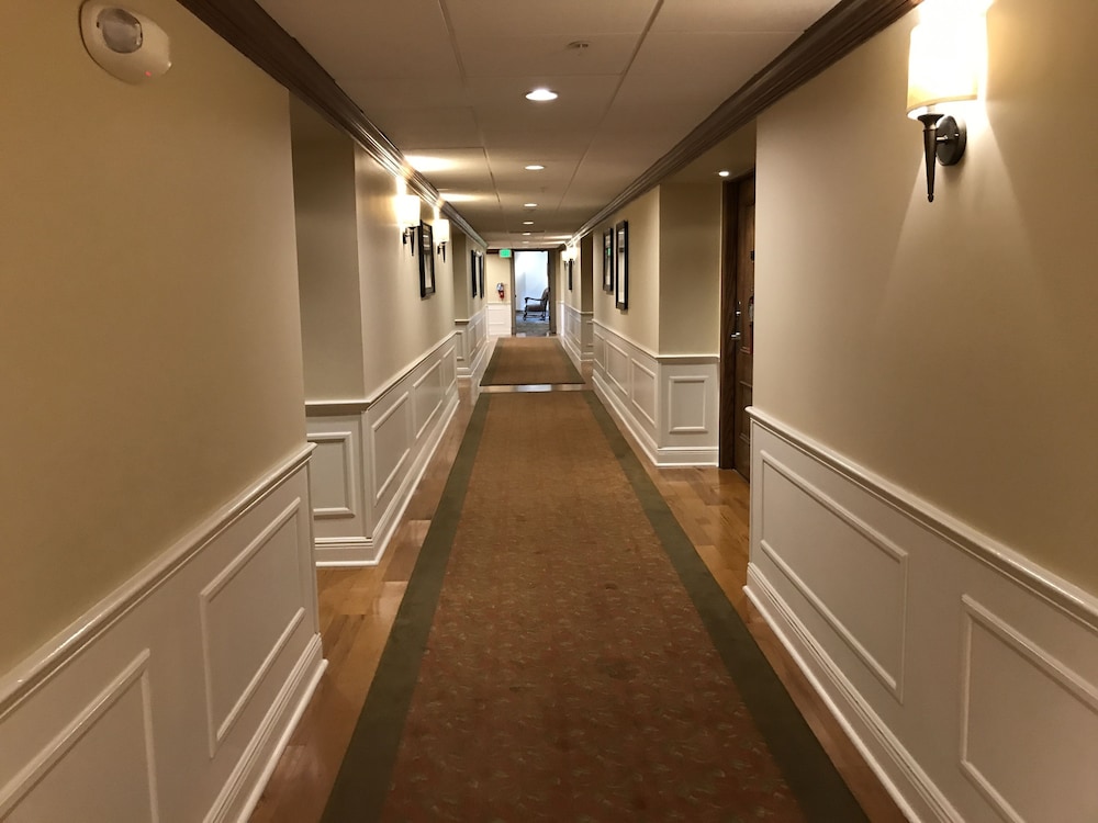 阿诺德帕尔默贝希尔俱乐部旅馆(ARNOLD PALMER'S BAY HILL CLUB AND LODGE) 图片3