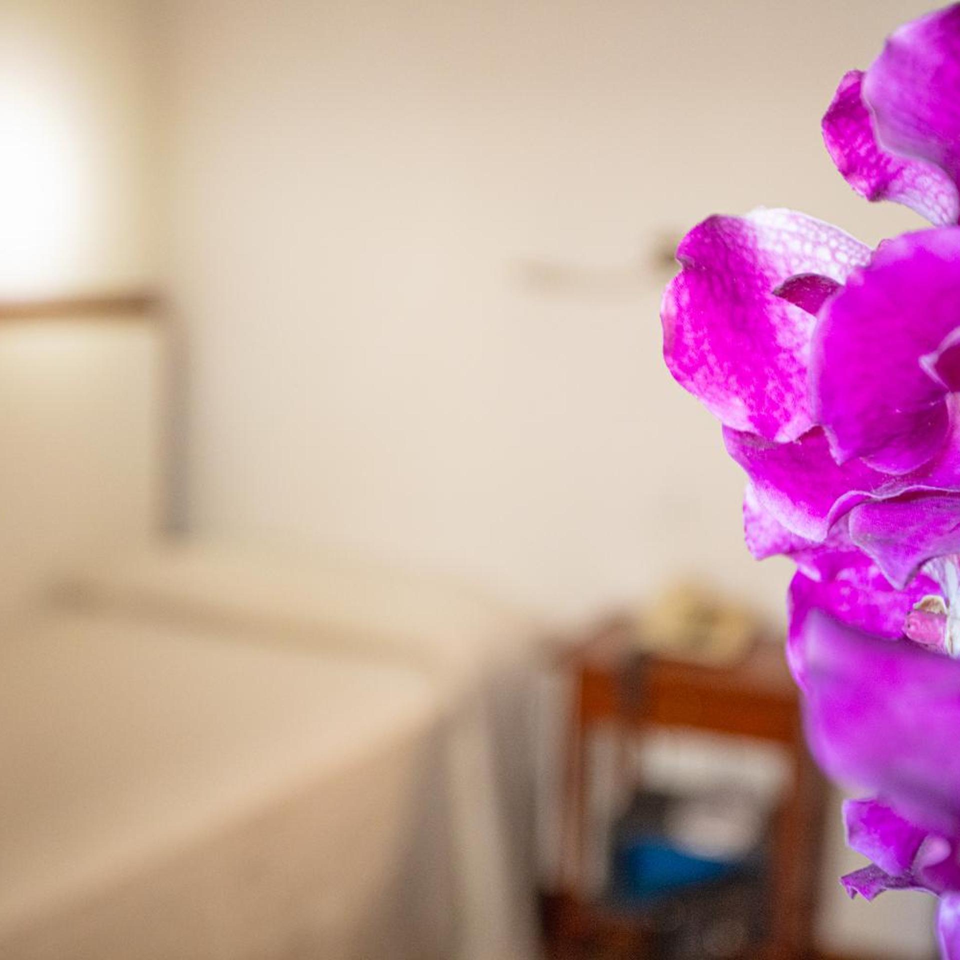 Hotel Blumen 25/52