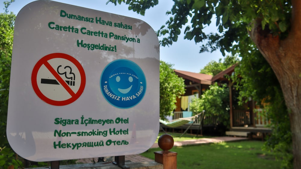 Caretta Caretta Pension 1/43