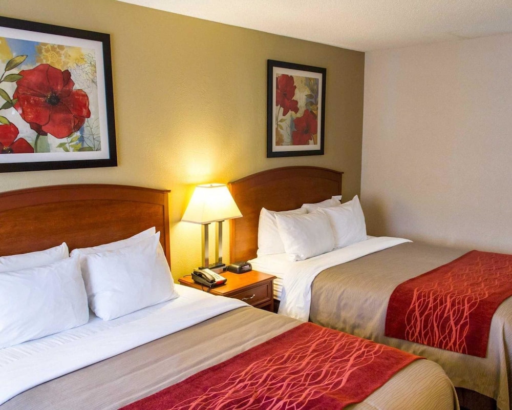 Comfort Inn Hastings 16/41