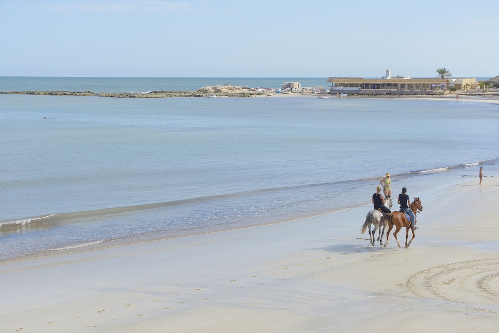 Monarque Dar Jerba Zahra 52/58