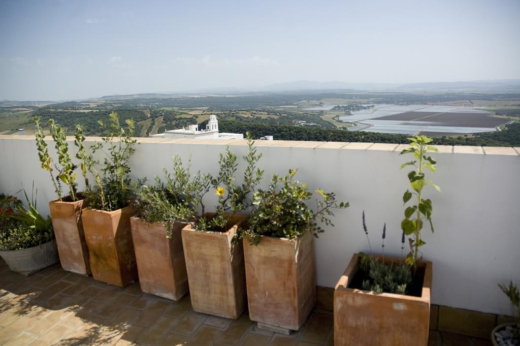 LA BOTICA DE VEJER 2/17