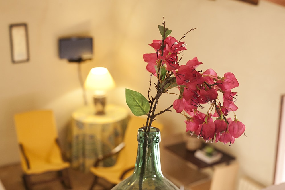 Agroturismo Finca Son Sureda 24/50