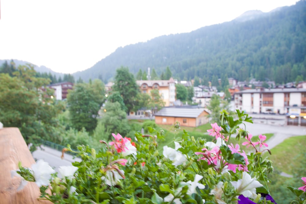 Chalet de Brenta 44/50