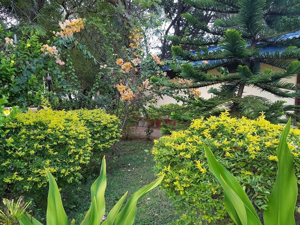 Nilaveli Crystal Blue Hotel 17/26