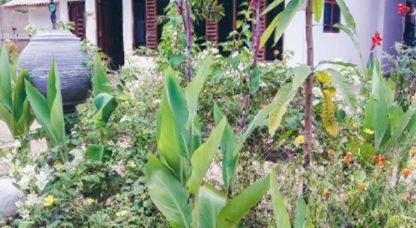 Wenasa Hotel 21/27