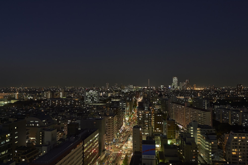 Sotetsu Fresa Inn Higashi Shinjuku 58/60