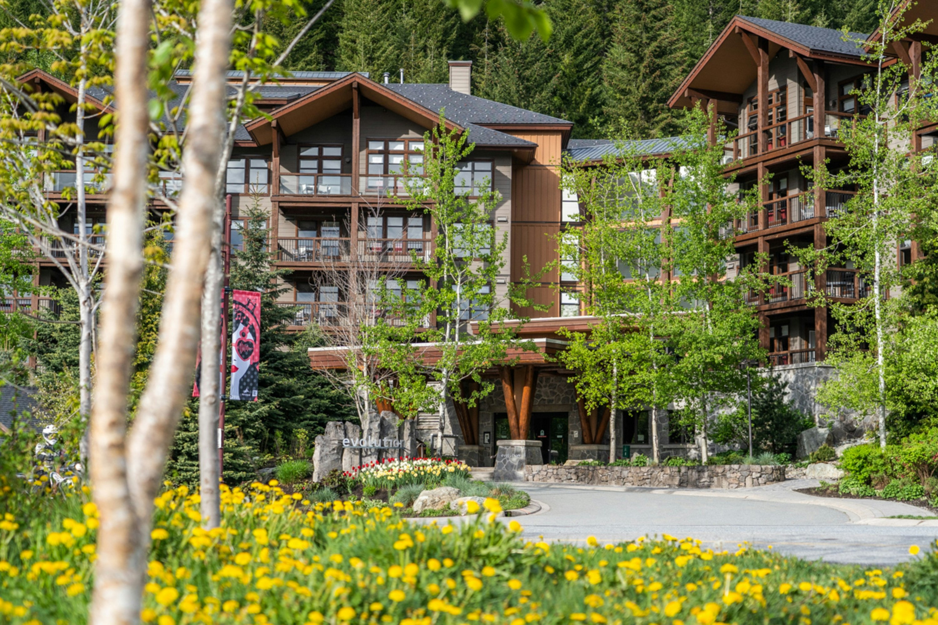 Evolution Whistler 15/51