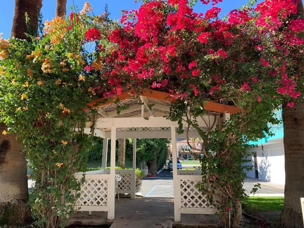 Adara Hotel Palm Springs 8/53
