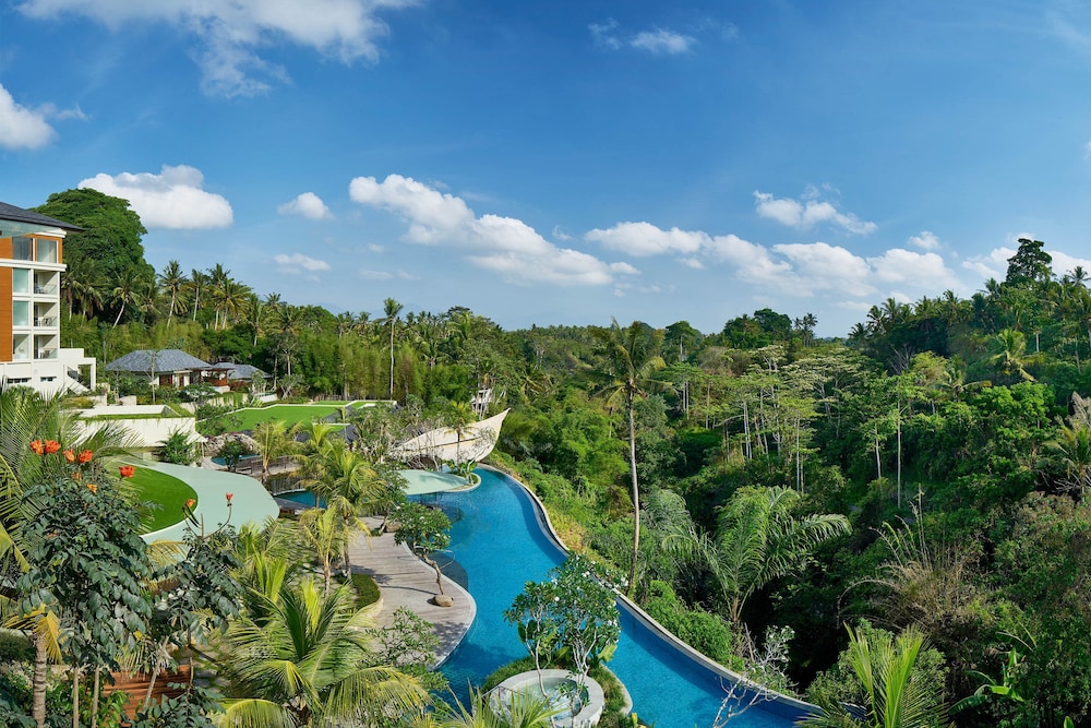 The Westin Resort & Spa Ubud Bali 2/48