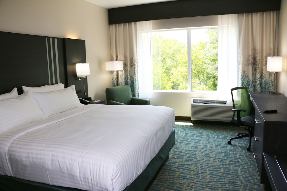 HOLIDAY INN EXPRESS & SUITES HENDERSONVILLE SE - FLAT ROCK 19/52
