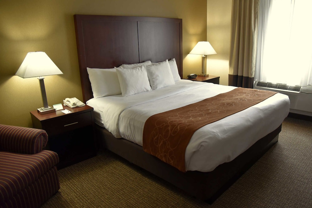 Comfort Suites Linn County Fairground And Expo 5/38