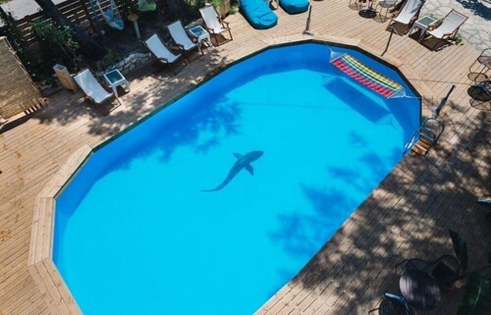Ionian Paradise 25/50