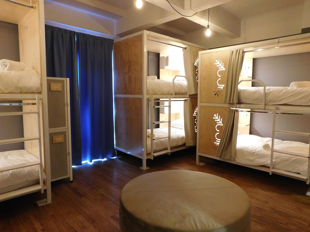 Mixed Dorm, 8 People, 4 Bunk Beds